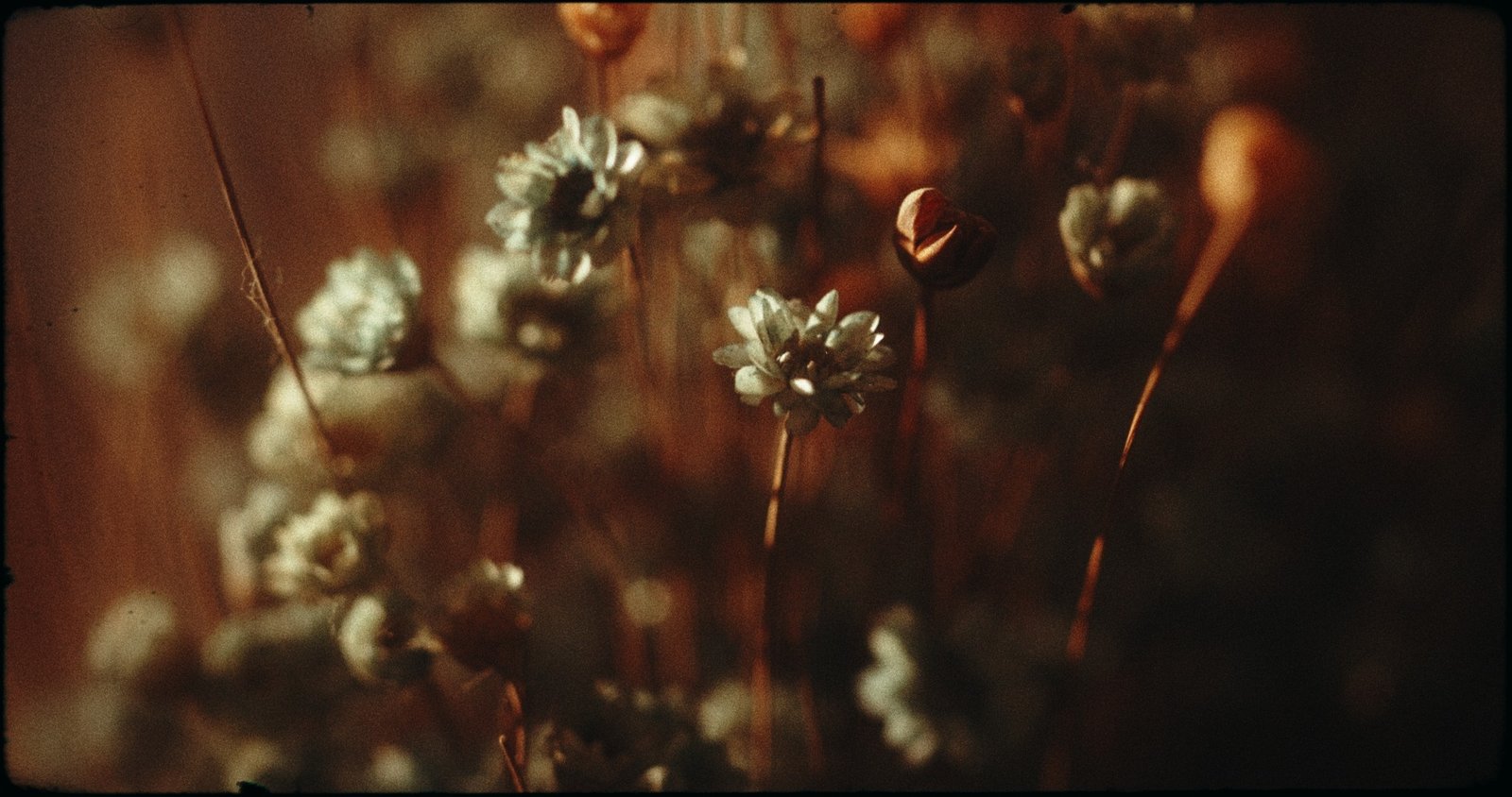 ANNUNCIATION — project still 5